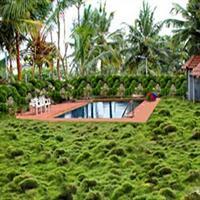 Hotel Bombay Tiffanys Mysore Exterior foto